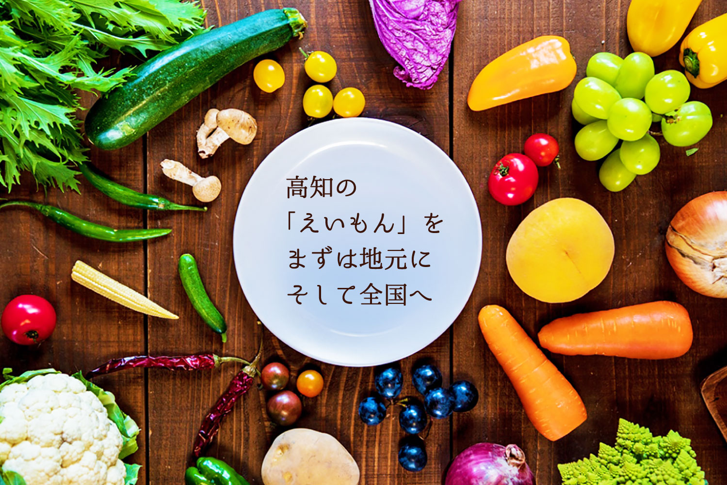 会社概要TOPイメージ